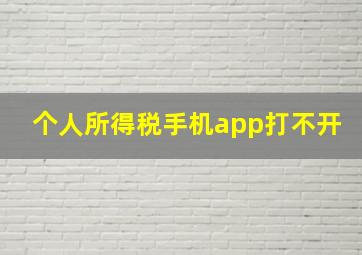 个人所得税手机app打不开