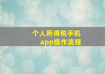 个人所得税手机app操作流程