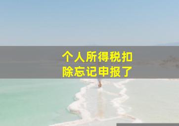 个人所得税扣除忘记申报了