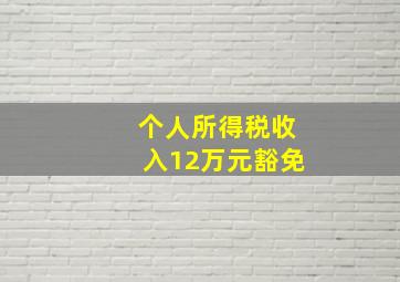 个人所得税收入12万元豁免