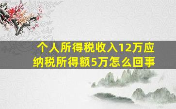 个人所得税收入12万应纳税所得额5万怎么回事