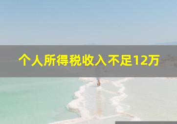 个人所得税收入不足12万