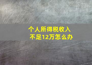 个人所得税收入不足12万怎么办