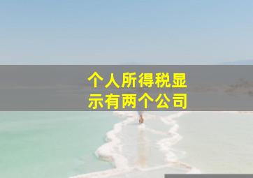 个人所得税显示有两个公司