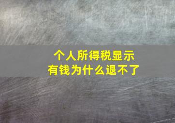 个人所得税显示有钱为什么退不了