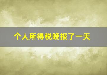 个人所得税晚报了一天