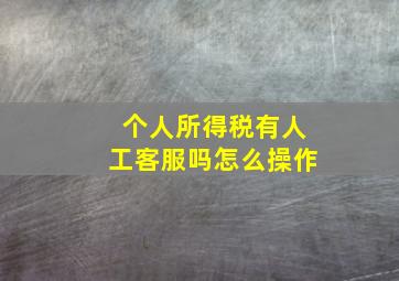 个人所得税有人工客服吗怎么操作