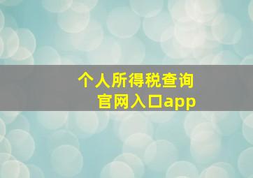 个人所得税查询官网入口app