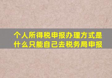 个人所得税申报办理方式是什么只能自己去税务局申报