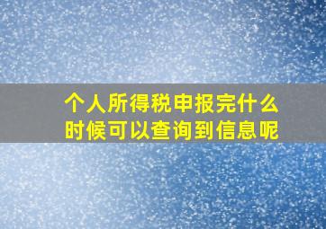 个人所得税申报完什么时候可以查询到信息呢