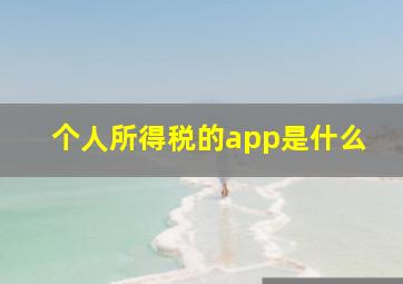 个人所得税的app是什么