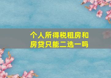 个人所得税租房和房贷只能二选一吗