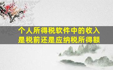 个人所得税软件中的收入是税前还是应纳税所得额