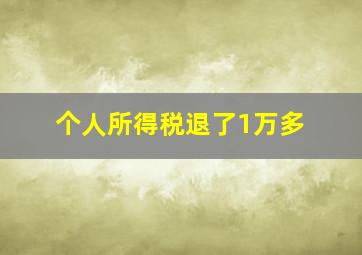 个人所得税退了1万多