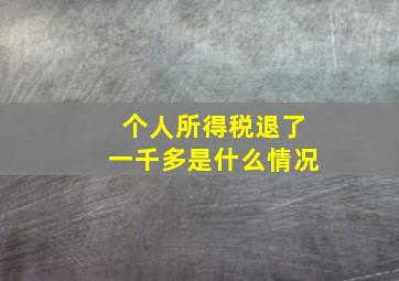 个人所得税退了一千多是什么情况