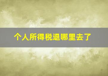 个人所得税退哪里去了