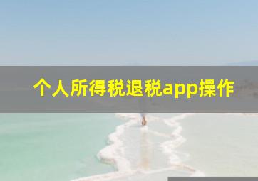 个人所得税退税app操作