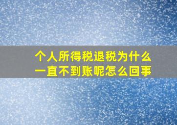 个人所得税退税为什么一直不到账呢怎么回事