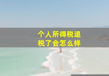 个人所得税退税了会怎么样