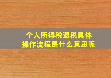 个人所得税退税具体操作流程是什么意思呢