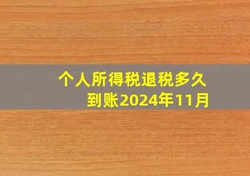 个人所得税退税多久到账2024年11月