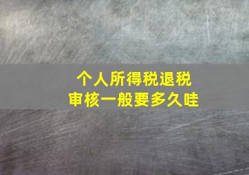 个人所得税退税审核一般要多久哇