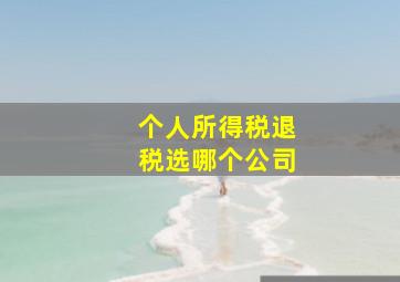 个人所得税退税选哪个公司