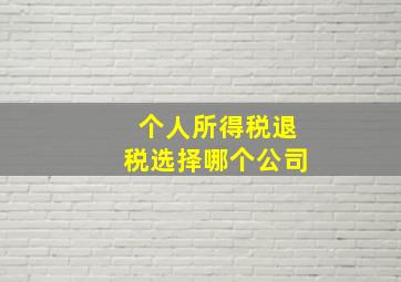 个人所得税退税选择哪个公司