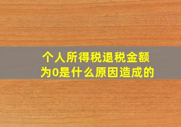 个人所得税退税金额为0是什么原因造成的