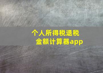 个人所得税退税金额计算器app