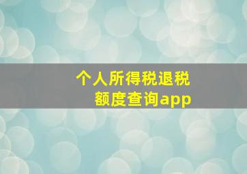 个人所得税退税额度查询app