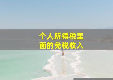 个人所得税里面的免税收入