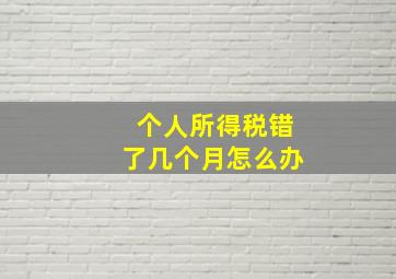 个人所得税错了几个月怎么办