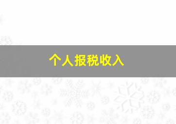 个人报税收入