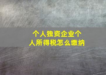 个人独资企业个人所得税怎么缴纳