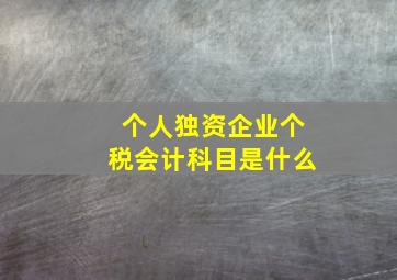 个人独资企业个税会计科目是什么