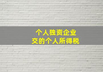 个人独资企业交的个人所得税