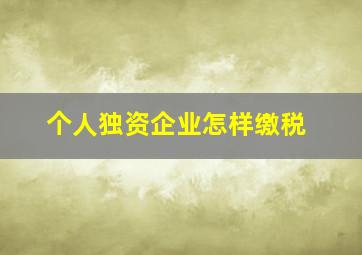 个人独资企业怎样缴税