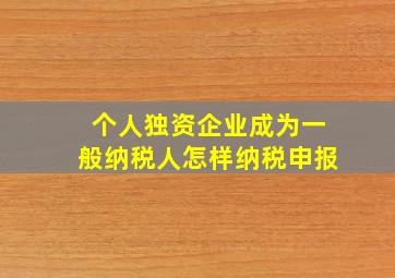 个人独资企业成为一般纳税人怎样纳税申报