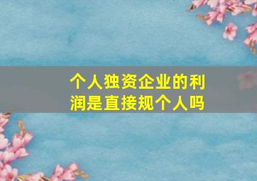 个人独资企业的利润是直接规个人吗