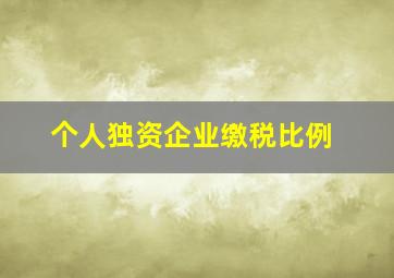 个人独资企业缴税比例