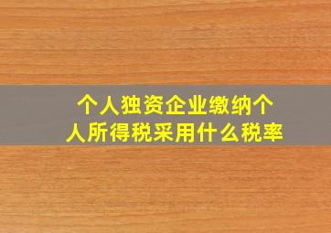 个人独资企业缴纳个人所得税采用什么税率