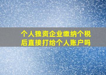 个人独资企业缴纳个税后直接打给个人账户吗