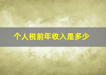 个人税前年收入是多少