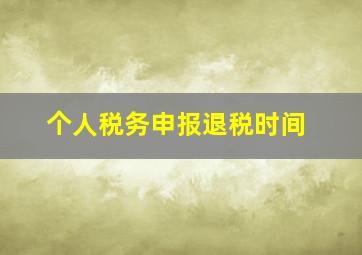 个人税务申报退税时间