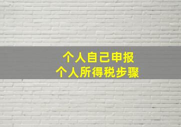 个人自己申报个人所得税步骤