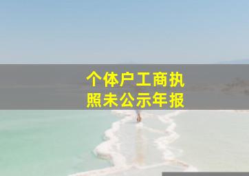 个体户工商执照未公示年报