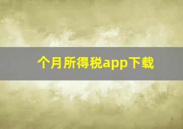 个月所得税app下载