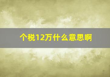 个税12万什么意思啊