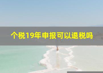 个税19年申报可以退税吗